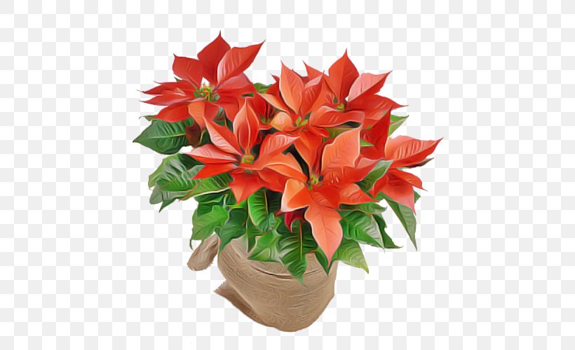 Flower Plant Poinsettia Red Flowerpot, PNG, 500x500px, Flower, Anthurium, Bouquet, Flowerpot, Houseplant Download Free
