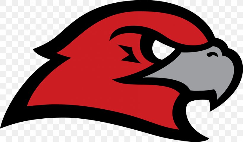 Hiland High School Gilmour Academy Stewarts Creek High School Carroll High School, PNG, 900x529px, Carroll High School, Basketball, Beak, Elementary School, Fictional Character Download Free