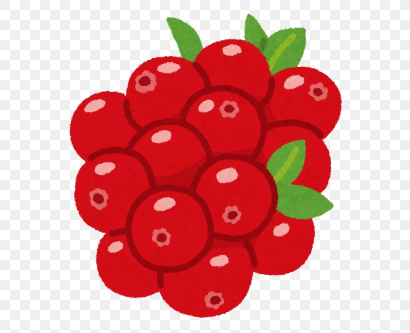 Lingonberry Cranberry いらすとや Tomoni, PNG, 666x666px, Lingonberry, Animal, Auglis, Berry, Cherry Download Free