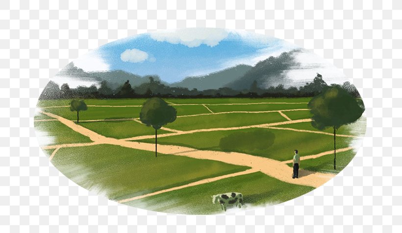 Water Resources Land Lot Energy Lawn, PNG, 700x476px, Water Resources, Energy, Field, Grass, Land Lot Download Free