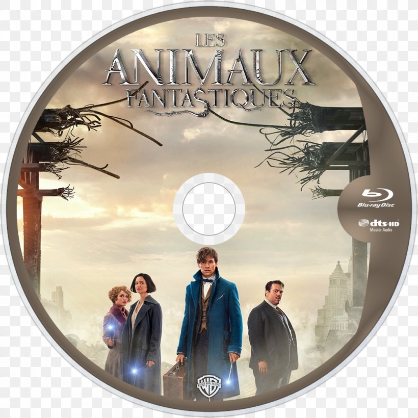 YouTube Newt Scamander Gellert Grindelwald Fantastic Beasts And Where To Find Them Film Series Albus Dumbledore, PNG, 1000x1000px, Youtube, Albus Dumbledore, Animated Film, Compact Disc, Display Resolution Download Free