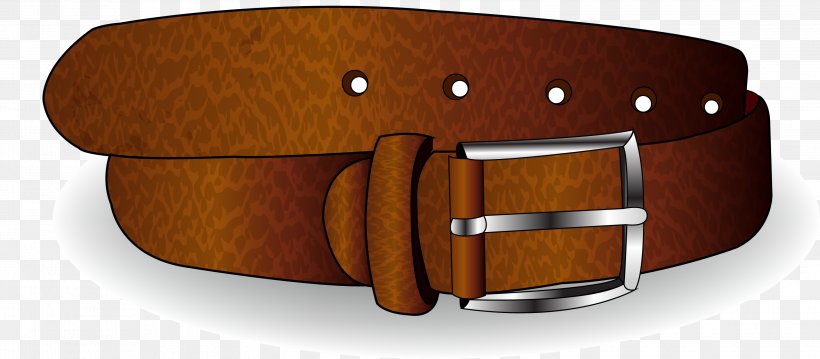 Belt Leather, PNG, 3099x1357px, Belt, Belt Buckle, Buckle, Cdr, Fashion Accessory Download Free