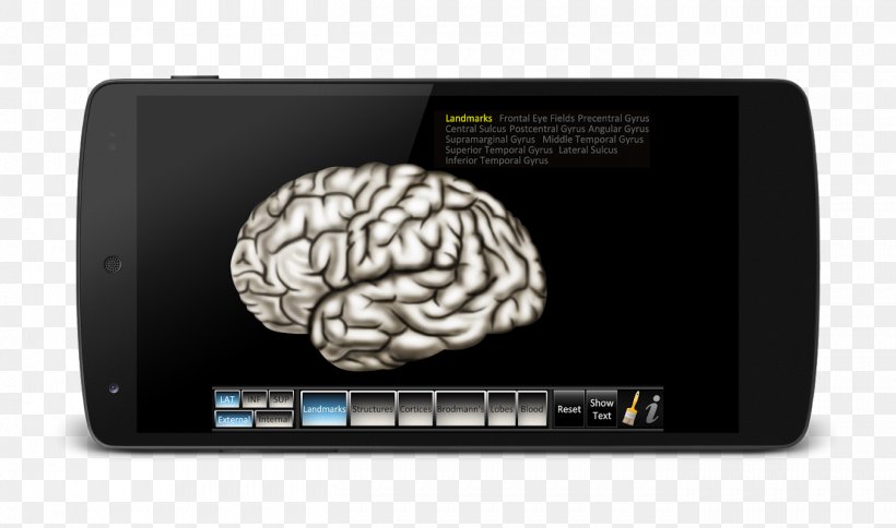 Brain Computer Software Sound Compton Publishing, PNG, 1353x800px, Watercolor, Cartoon, Flower, Frame, Heart Download Free