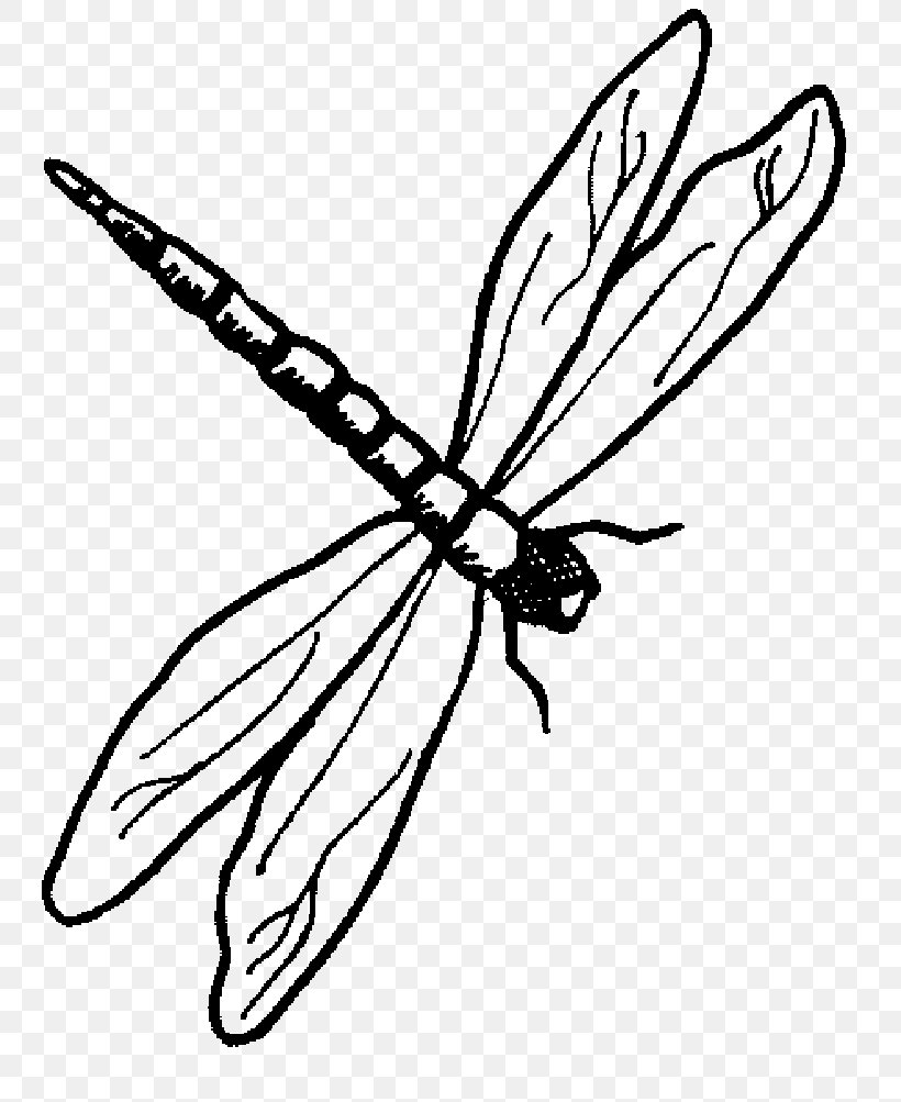 Dragonflies Drawing - Carinewbi