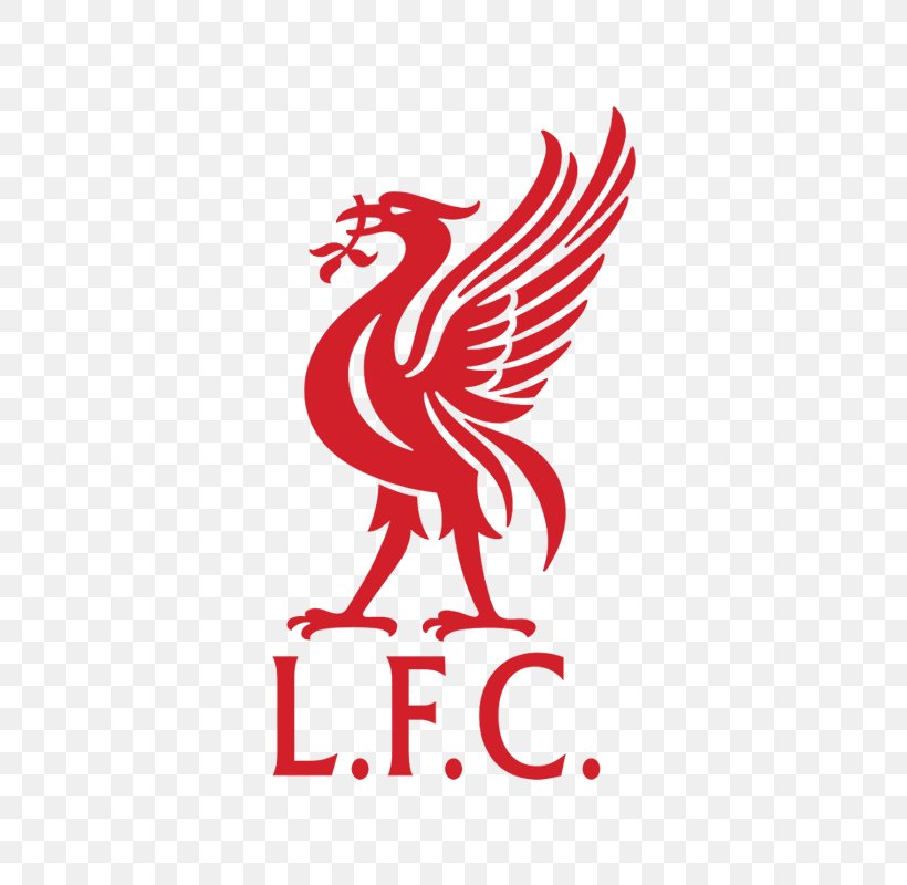 Liverpool F.C. Liverpool L.F.C. Premier League Brazil National Football Team, PNG, 800x800px, Liverpool Fc, Beak, Bird, Brand, Brazil National Football Team Download Free