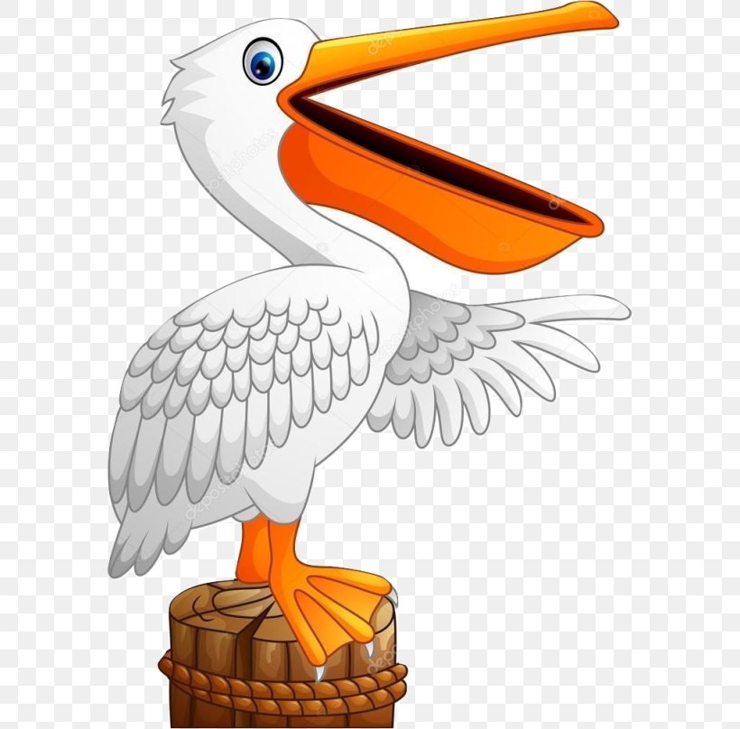 Pelican Vector Graphics Stock Photography Royalty-free Illustration, PNG, 640x808px, Pelican, Beak, Bird, Can Stock Photo, Depositphotos Download Free