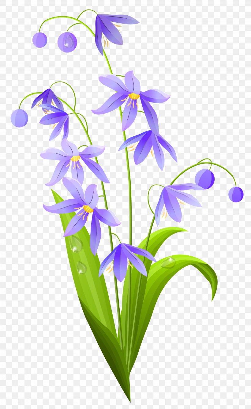 Flower Spring Clip Art, PNG, 4826x7855px, Flower, Bellflower Family, Cut Flowers, Flora, Floral Design Download Free