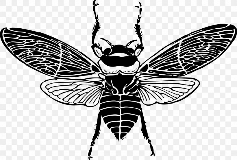 Honey Bee Clip Art, PNG, 1920x1295px, Bee, Arthropod, Beehive, Black And White, Bumblebee Download Free