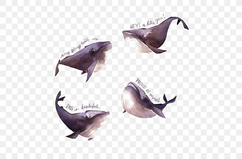 Watercolor Painting Illustrator Iraville Pencil Illustration, PNG, 540x540px, Watercolor Painting, Art, Daniel Smith Artists Materials, Dolphin, Drawing Download Free