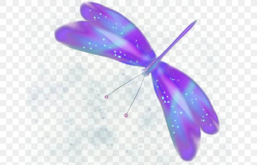 Butterfly Purple, PNG, 650x529px, Butterfly, Insect, Invertebrate, Lavender, Moths And Butterflies Download Free
