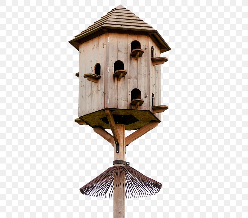 Columbidae Dovecote Wood House Bird, PNG, 480x720px, Columbidae, Bird, Bird Feeder, Bird Feeders, Birdhouse Download Free
