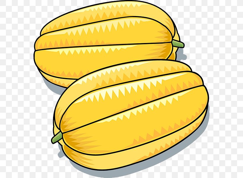 Korean Melon Daum Naver Blog Email, PNG, 594x600px, Korean Melon, Commodity, Corn On The Cob, Cucumis, Daum Download Free