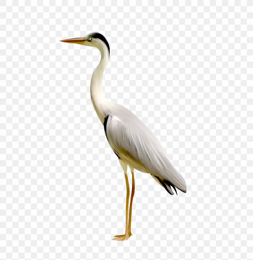 Plastic Toys Simulation Red-crowned Crane, PNG, 903x930px, Bird, Animal, Beak, Ciconiiformes, Crane Download Free