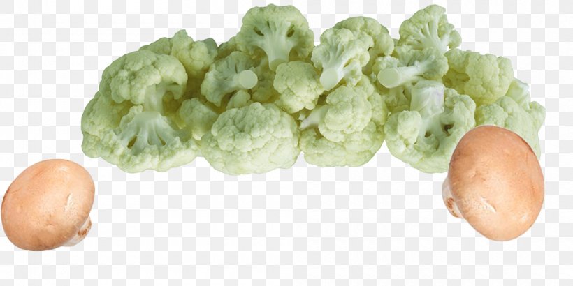 Cauliflower Cabbage Broccoli Vegetable, PNG, 1000x500px, Cauliflower, Brassica Oleracea, Broccoli, Cabbage, Chinese Cabbage Download Free
