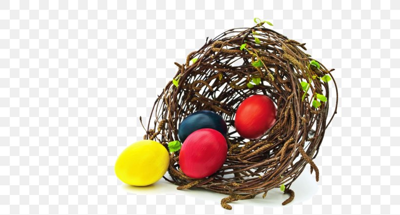 Edible Birds Nest Bird Nest Egg, PNG, 600x441px, Edible Birds Nest, Bird, Bird Nest, Chicken Egg, Easter Egg Download Free