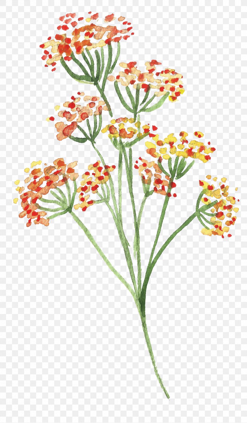 Flower Watercolor Painting Clip Art, PNG, 1755x3000px, Flower, Auglis, Chrysanthemum, Chrysanths, Cut Flowers Download Free