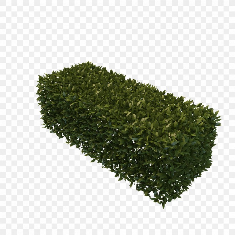 Hedge 3D Modeling Fence Box, PNG, 2000x2000px, 3d Computer Graphics, 3d Modeling, Hedge, Box, Evergreen Download Free