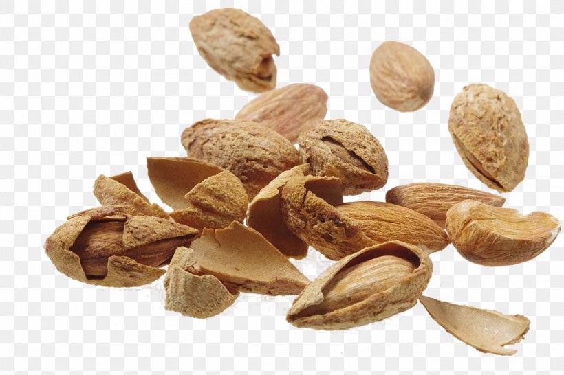 Nut Almond Food, PNG, 1024x682px, Nut, Almond, Apricot Kernel, Commodity, Dessert Download Free