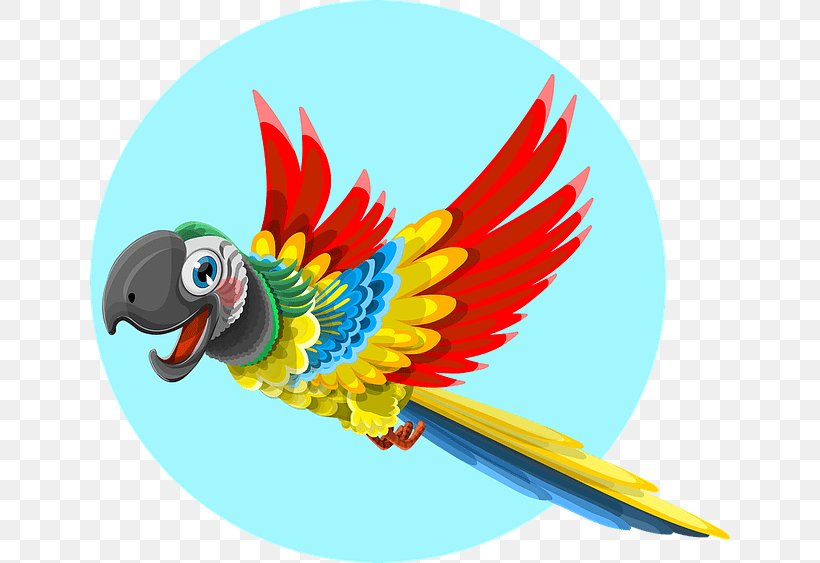 Parrot Clip Art, PNG, 640x563px, Parrot, Beak, Bird, Feather, Macaw Download Free