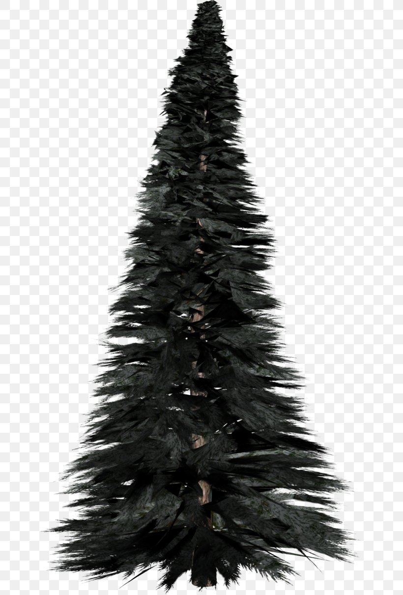 Pine Spruce Tree Clip Art, PNG, 660x1210px, Pine, Black And White, Christmas Decoration, Christmas Ornament, Christmas Tree Download Free