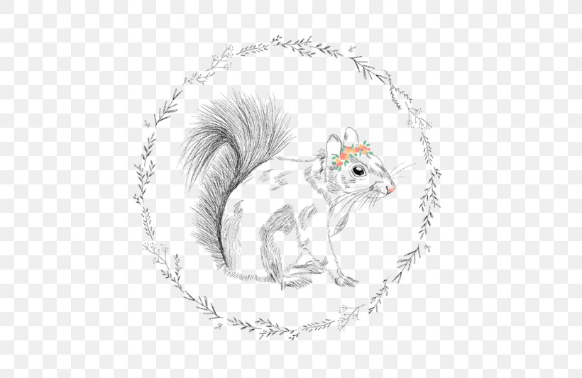 Whiskers Tree Squirrel Rodent Wallpaper, PNG, 600x533px, Whiskers, Art, Black And White, Canidae, Carnivoran Download Free