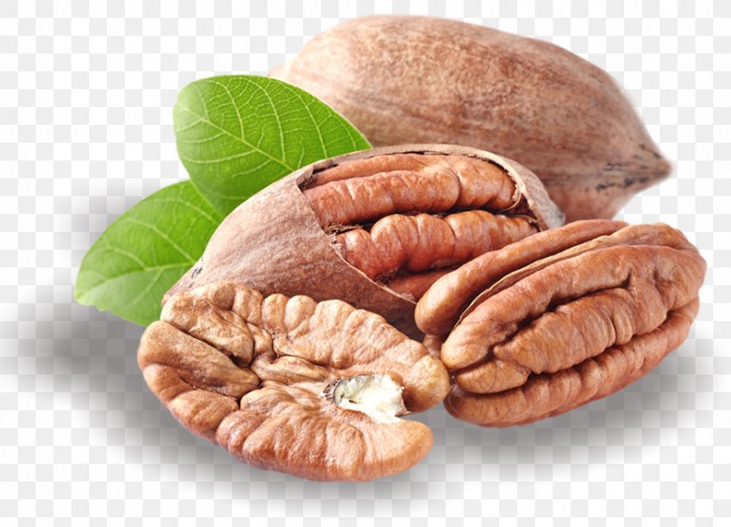 Butter Pecan Nut Praline Dried Fruit, PNG, 881x636px, Pecan, Almond, Butter Pecan, Cashew, Cocoa Bean Download Free