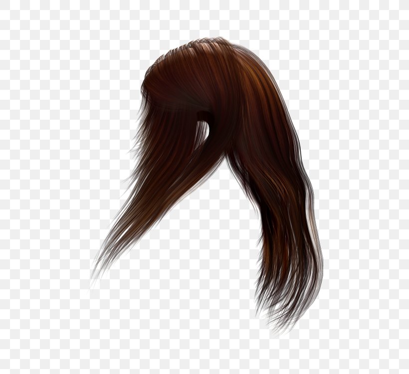 Capelli Hair, PNG, 500x750px, Capelli, Black Hair, Brown Hair, Computer, Gratis Download Free