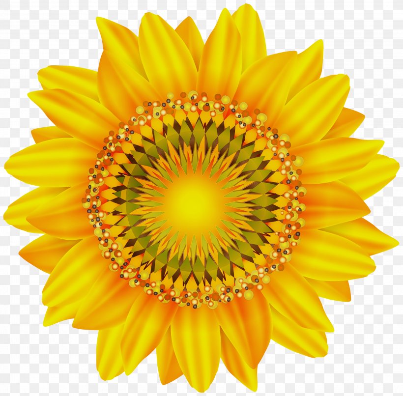 Sunflower, PNG, 3000x2950px, Watercolor, Cut Flowers, Flower, Gazania, Paint Download Free