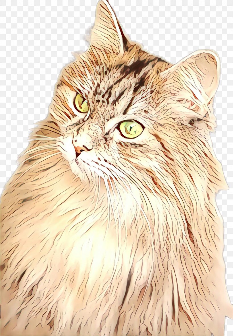 Cat Whiskers Small To Medium-sized Cats Domestic Long-haired Cat Maine Coon, PNG, 1668x2400px, Cartoon, Cat, Domestic Longhaired Cat, Maine Coon, Siberian Download Free
