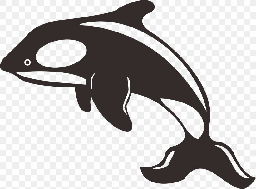 Dolphin Killer Whale Toothed Whale Black And White, PNG, 2038x1504px, Dolphin, Black And White, Chilean Dolphin, Commersons Dolphin, Fauna Download Free