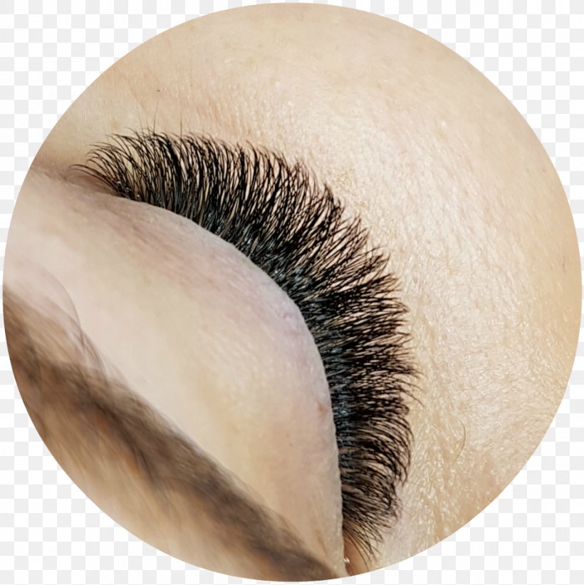 Eyelash Extensions Close-up Artificial Hair Integrations, PNG, 941x943px, Eyelash Extensions, Artificial Hair Integrations, Brush, Close Up, Closeup Download Free