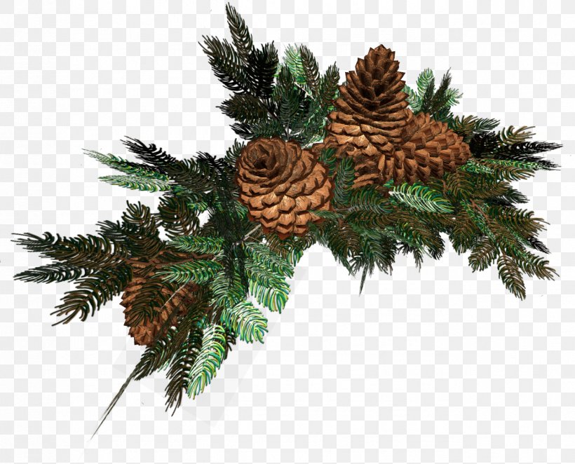 Spruce Christmas Designs Clip Art Branch Author, PNG, 1288x1041px, Spruce, Author, Branch, Christmas Decoration, Christmas Designs Download Free