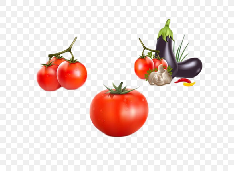 Vegetable Tomato Eggplant Icon, PNG, 600x600px, Vegetable, Bush Tomato, Calabash, Capsicum Annuum, Diet Food Download Free