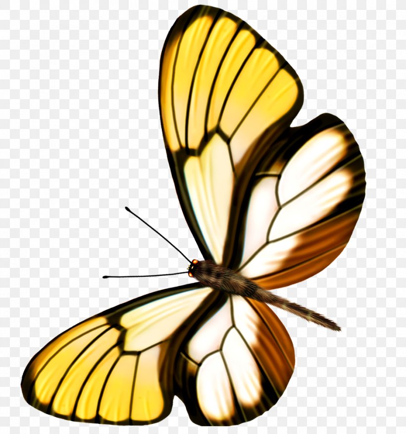 Butterfly Clip Art, PNG, 938x1001px, Butterfly, Arthropod, Brush Footed Butterfly, Flower, Insect Download Free