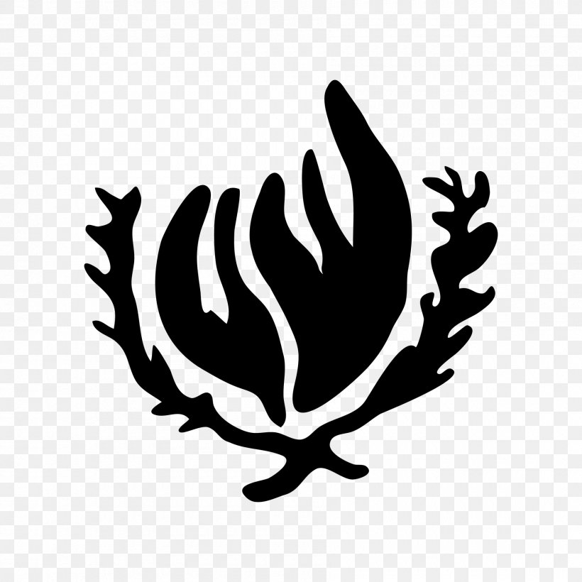 Human Rights Symbol Strike Action Venezuela, PNG, 1800x1800px, Human Rights, Black And White, Branch, Flower, Leaf Download Free
