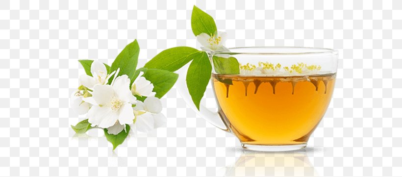 Earl Grey Tea Matcha Green Tea Mate Cocido Latte, PNG, 742x361px, Earl Grey Tea, Cup, Drink, Flavor, Green Tea Download Free
