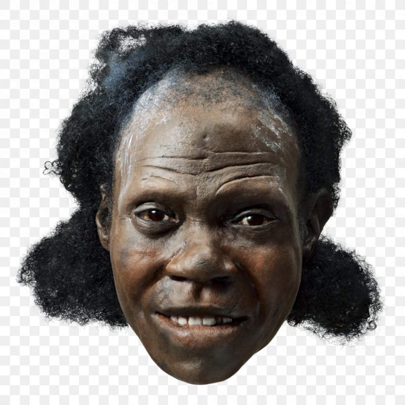 Neandertal Early Human Migrations Anatomically Modern Human Face Upright Man, PNG, 960x960px, Neandertal, Anatomically Modern Human, Cheek, Chin, Early Human Migrations Download Free