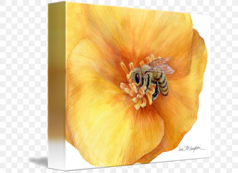 Still Life Photography Honey Bee Gallery Wrap, PNG, 650x596px, Still Life Photography, Art, Bee, Canvas, Curtain Download Free