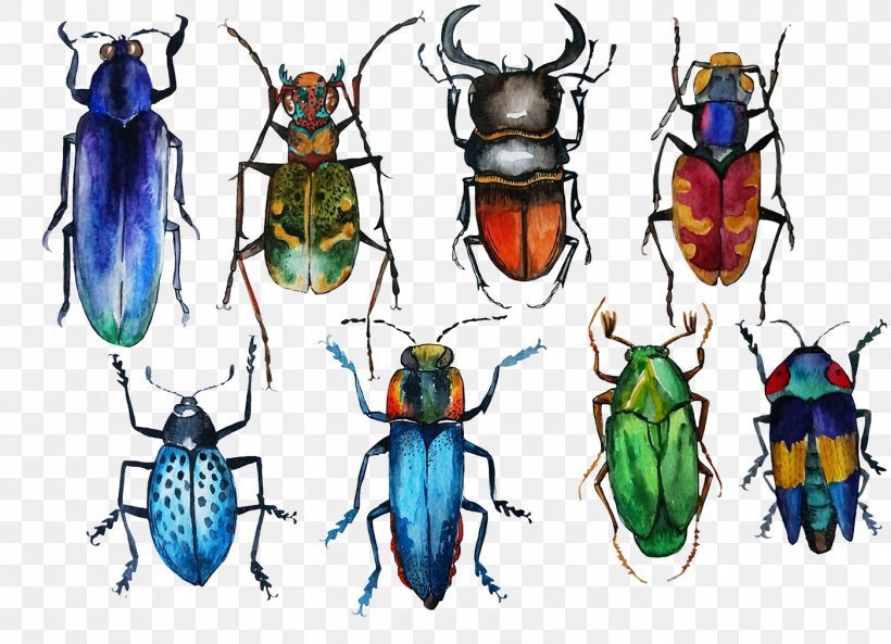 Beetle Drawing Watercolor Painting, PNG, 1400x1014px, Beetle, Arthropod, Artwork, Child Art, Drawing Download Free