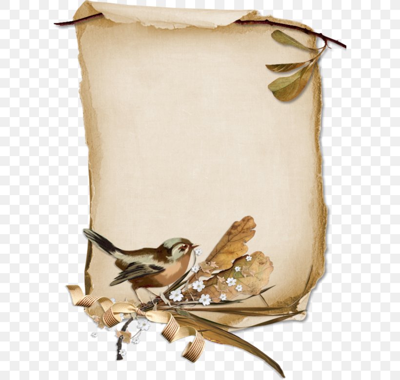 Bird Paper Parchment Scroll, PNG, 600x779px, Bird, Paper, Parchment, Quill, Scroll Download Free