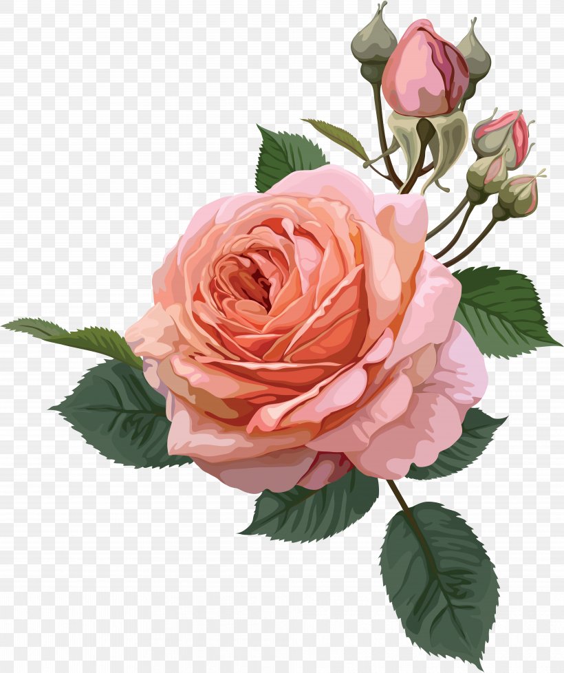 Flower Rose Desktop Wallpaper, PNG, 7841x9360px, Flower, Botanical ...