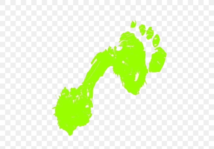 Graphic Design, PNG, 630x571px, Footprint, Area, Color, Foot, Grass Download Free