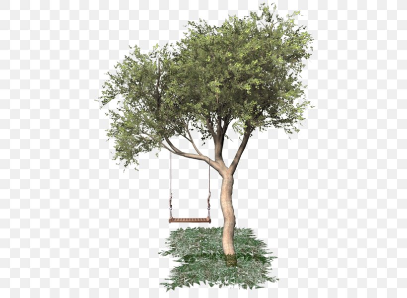 Tree Clip Art Image Oak, PNG, 488x600px, Tree, Bonsai, Branch, Garden, Houseplant Download Free