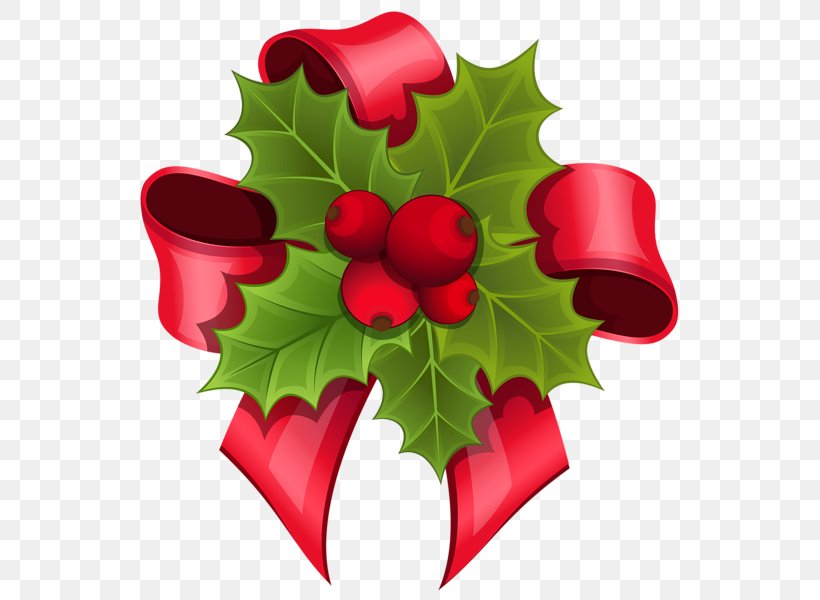 Mistletoe Phoradendron Tomentosum Santa Claus Clip Art, PNG, 559x600px, Mistletoe, Aquifoliaceae, Aquifoliales, Christmas, Christmas Decoration Download Free