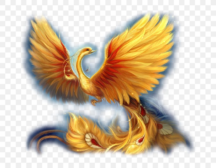 Phoenix The Golden Mare, The Firebird, And The Magic Ring Golden Mare The Firebird And Legendary Creature, PNG, 800x640px, Phoenix, Beak, Bird, Bird Of Prey, Chicken Download Free