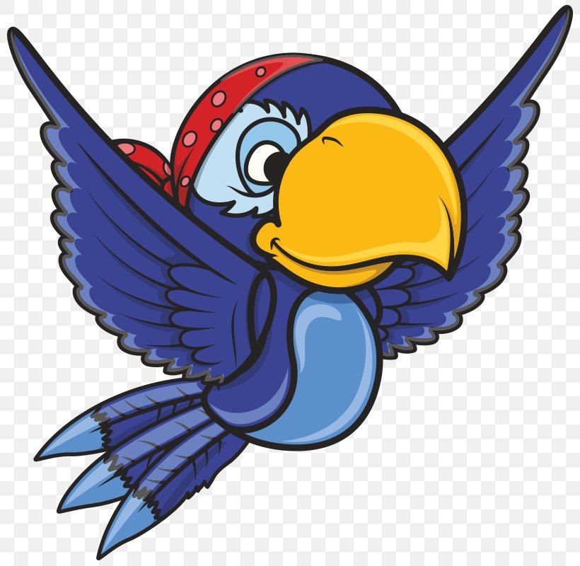 Macaw Drawing Clip Art, PNG, 800x800px, Macaw, Artwork, Beak, Bird, Cartoon Download Free