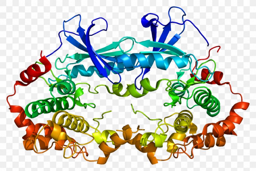 MAP2K2 Mitogen-activated Protein Kinase Kinase MAP3K1, PNG, 1013x680px, Protein Kinase, Area, Art, Artwork, Dualspecificity Kinase Download Free