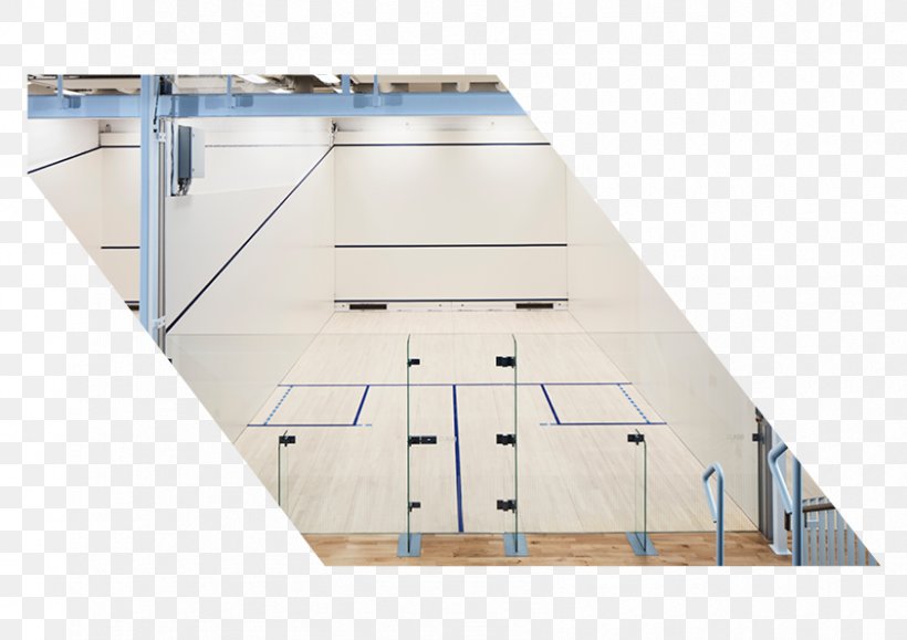 University Of Birmingham Sport & Fitness Squash Racket, PNG, 842x595px, Squash, Agility, Architecture, Birmingham, Coach Download Free
