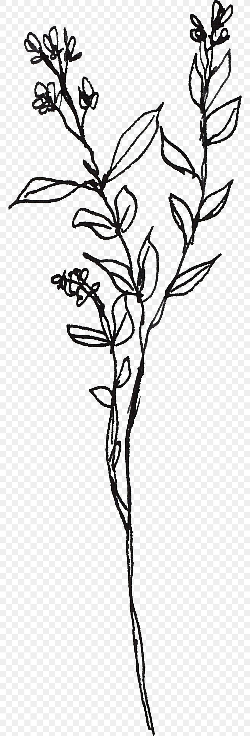 Visual Arts Plant Clip Art, PNG, 766x2414px, Visual Arts, Area, Art, Black And White, Branch Download Free