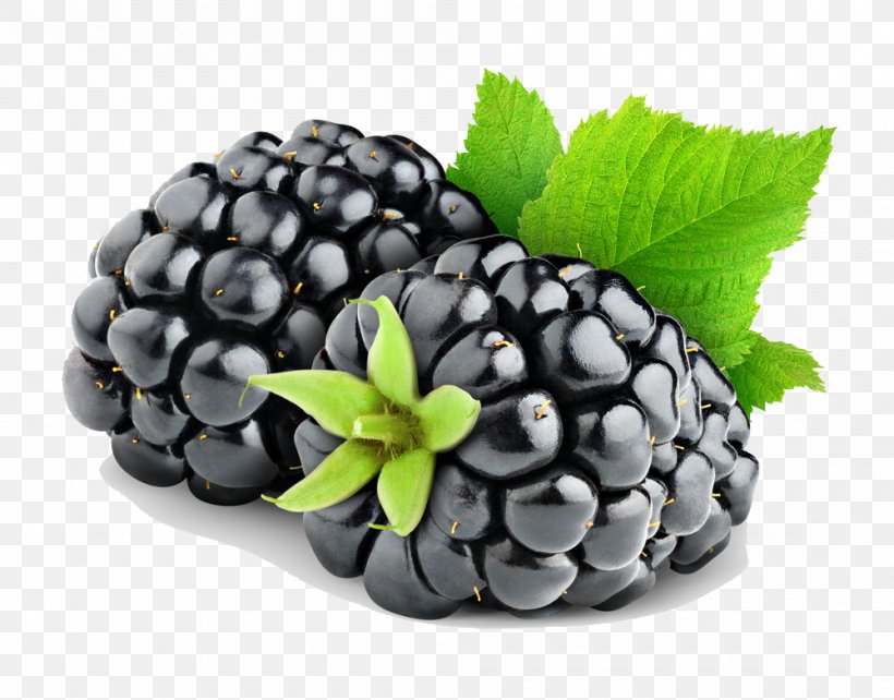 Blackberry Pie Fruit, PNG, 1000x784px, Blackberry, Berry, Bilberry, Food, Fruit Download Free